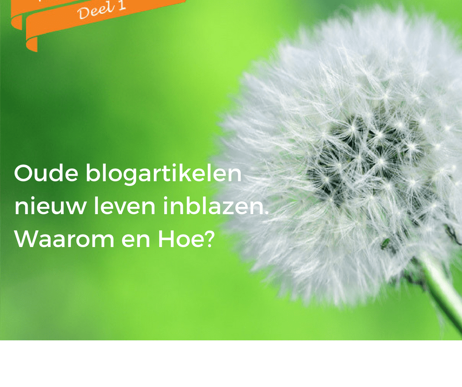 Update Oude Artikelen Een Minitraining Succesvol Bloggen