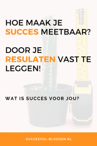 Blog succes meten, hoe doe je dat? Door je resultaten vast te leggen. Succesvol-Bloggen.nl | blog  | bloggen | blogplan | strategie