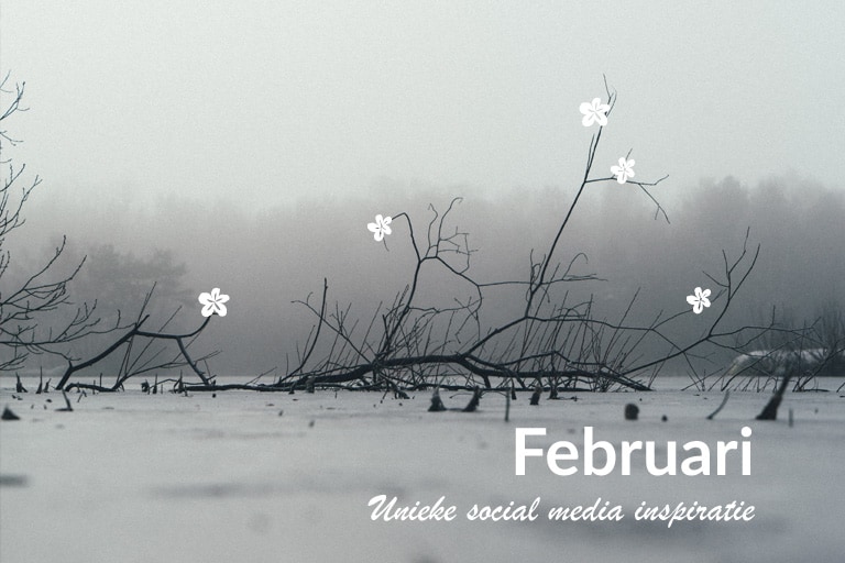 Unieke social media inspiratie: Februari 2019 | Succesvol-Bloggen.nl | socialmedia | onlinecommunicatie