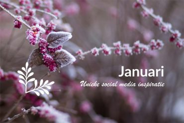 Unieke social media inspiratie: Januari 2019 | Succesvol-Bloggen.nl | socialmedia | onlinecommunicatie