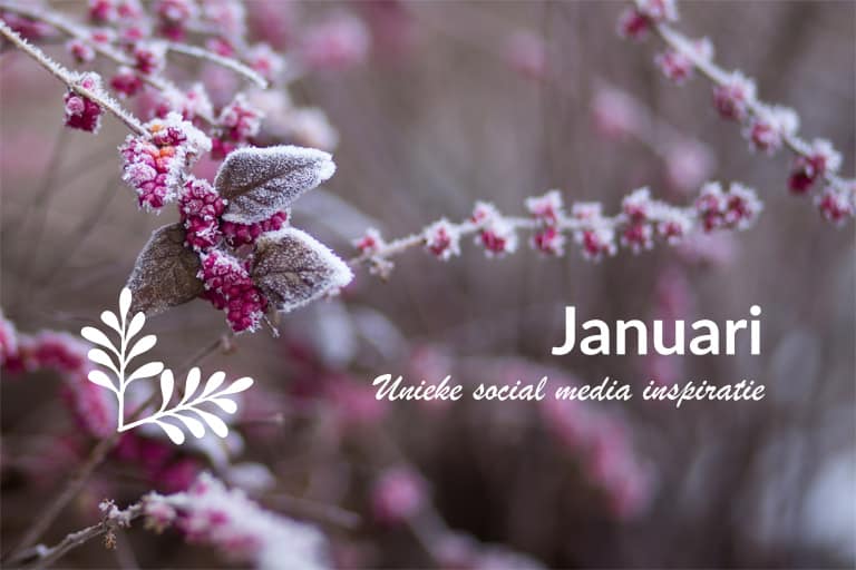 Unieke social media inspiratie: Januari 2019 | Succesvol-Bloggen.nl | socialmedia | onlinecommunicatie