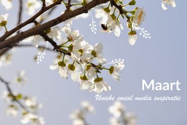 Unieke social media inspiratie: Maart 2019 | Succesvol-Bloggen.nl | socialmedia | onlinecommunicatie
