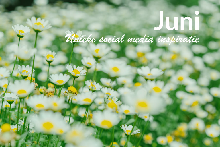 Unieke social media inspiratie: Juni 2019 | Succesvol-Bloggen.nl | socialmedia | onlinecommunicatie