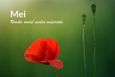 Unieke social media inspiratie: Mei 2019 | Succesvol-Bloggen.nl | socialmedia | onlinecommunicatie