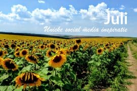 Unieke social media inspiratie: Juli 2019 | Succesvol-Bloggen.nl | socialmedia | onlinecommunicatie
